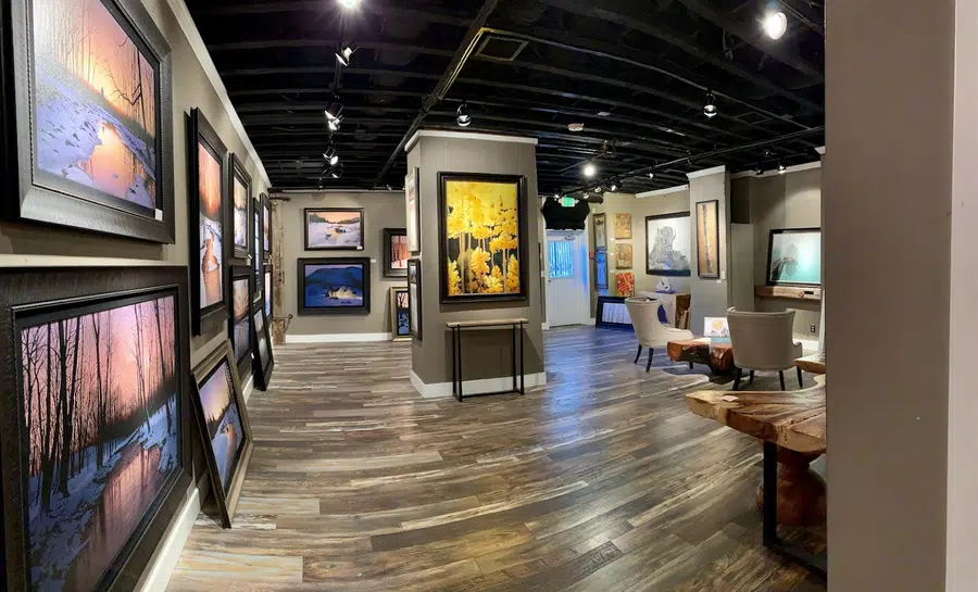 Pando Fine Art